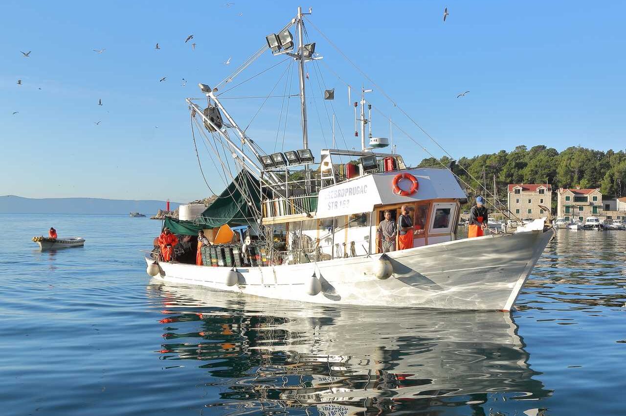 Foto by Duje Antonini-03